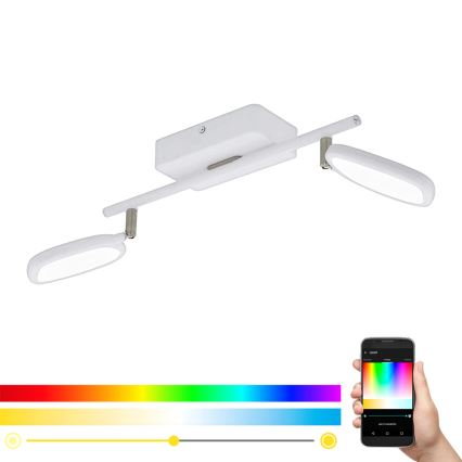 Eglo 97692 - Foco LED RGB PALOMBARE-C 2xLED/5W/230V