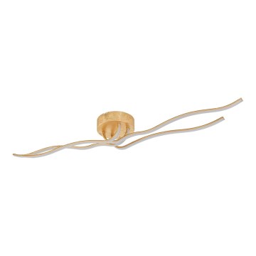 Eglo 97744 - Lámpara de techo LED de superficie MIRAFLORES 4xLED/9W/230V