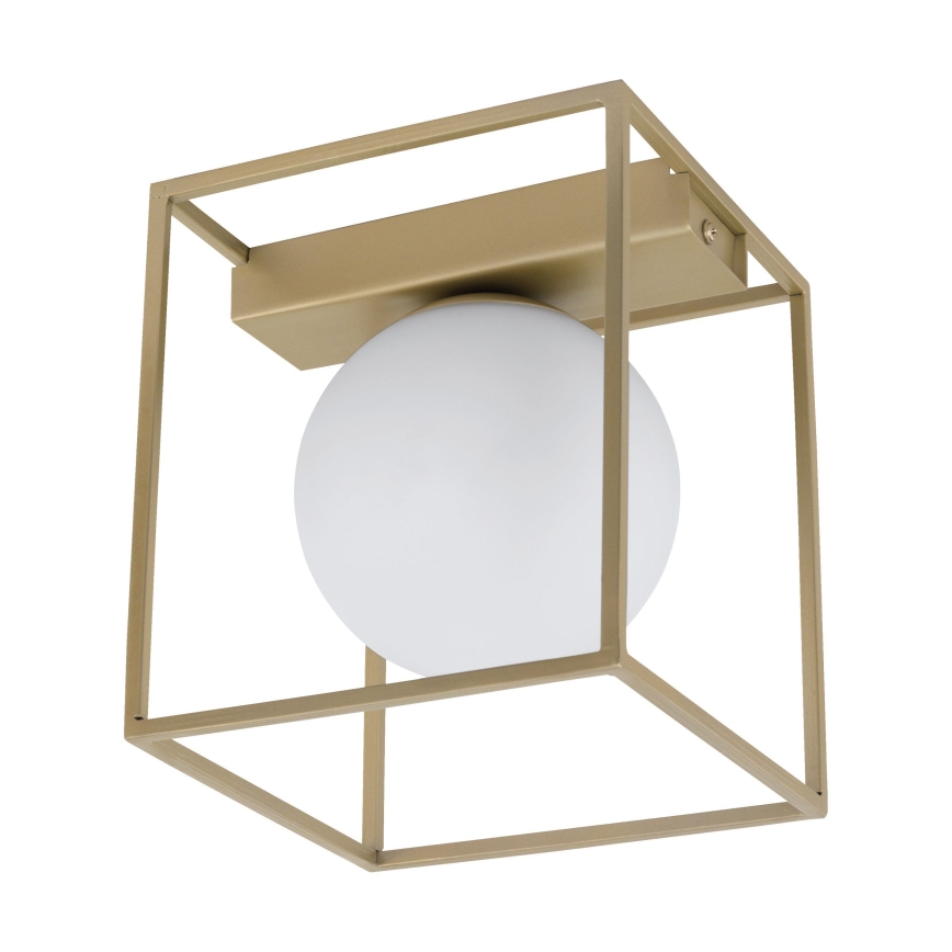 Eglo 97791 - Lámpara de techo de montaje en superficie VALLASPRA 1xE14/40W/230V