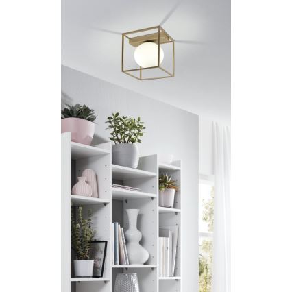 Eglo 97791 - Lámpara de techo de montaje en superficie VALLASPRA 1xE14/40W/230V