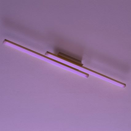 Eglo - Lámpara de techo LED RGB regulable FRAIOLI-C 2xLED/17W/230V