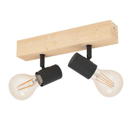 Eglo - Lámpara de techo TOWNSHEND 2xE27/60W/230V