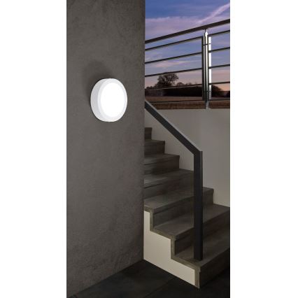 Eglo - Lámpara de exterior regulable ARGOLIS-C LED/16,5W/230V IP44