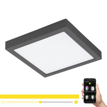 Eglo - Lámpara exterior LED regulable ARGOLIS-C LED/22W/230V IP44 Bluetooth