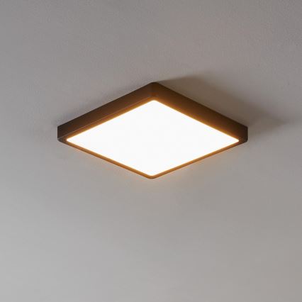 Eglo - Luminaria LED regulable para baño LED/19,5W/230V IP44 ZigBee 28,5x28,5 cm