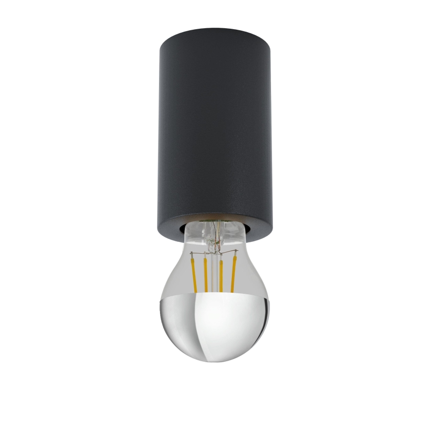 Eglo 99065 - Lámpara de techo SALUZZO 1xE27/40W/230V