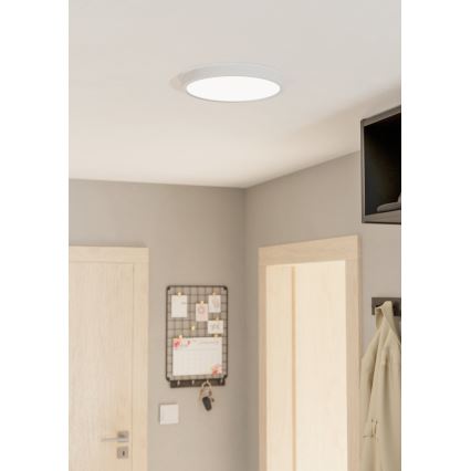 Eglo - Plafón LED LED/20W/230V