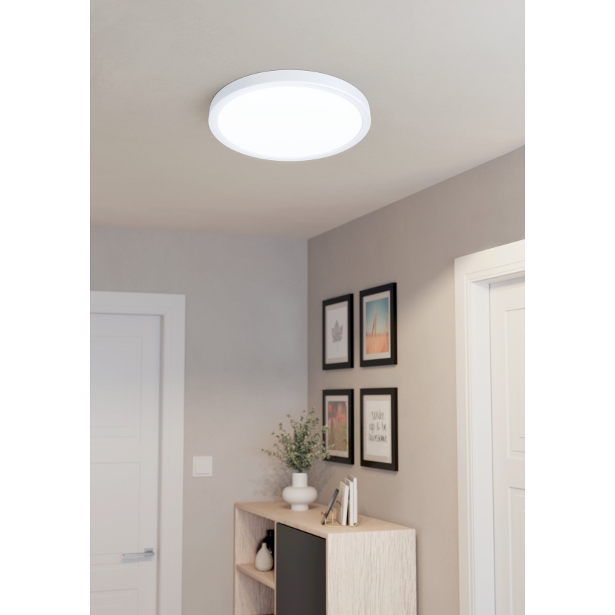 Eglo - Plafón LED LED/20W/230V