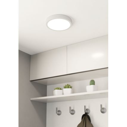 Eglo - Lámpara de techo LED regulable, LED 16,5 W, 230 V, Ø 21 cm