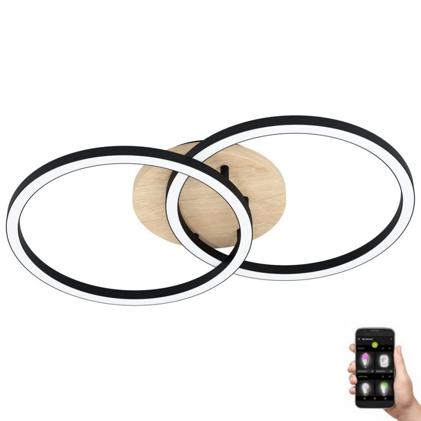 Eglo - Lámpara de techo LED regulable 2xLED/16W/230V 2700-6500K