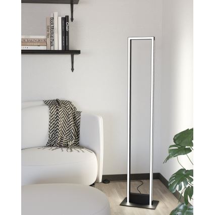 Eglo - Lámpara de pie LED regulable LED/33W/230V 2700-6500K