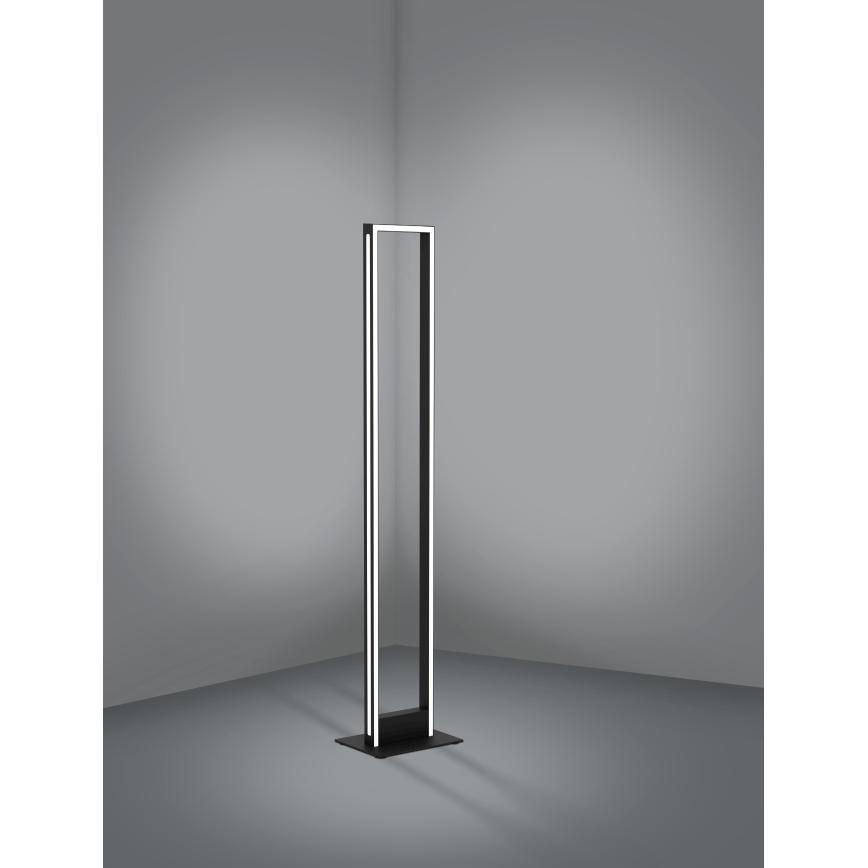 Eglo - Lámpara de pie LED regulable LED/33W/230V 2700-6500K