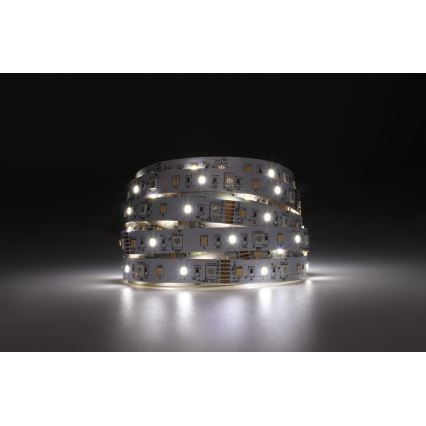 Eglo - Tira LED RGBW regulable 5m LED/11W/12/230V 2700-6500K ZigBee