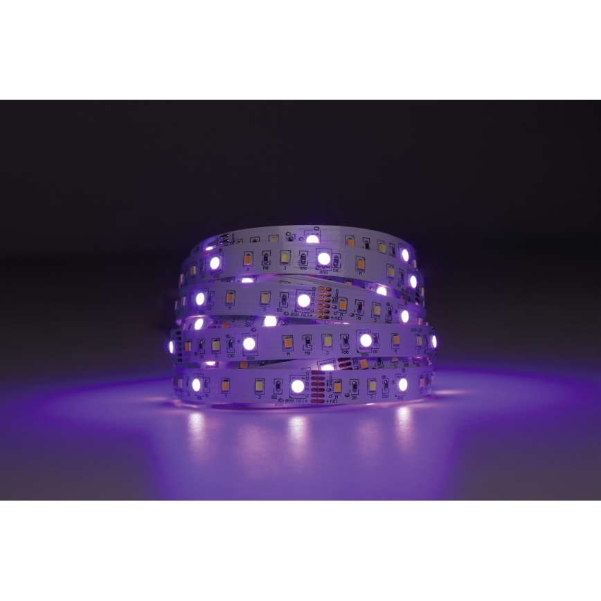 Eglo - Tira LED RGBW regulable 5m LED/11W/12/230V 2700-6500K ZigBee