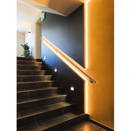 Eglo - Tira LED RGBW regulable 5m LED/11W/12/230V 2700-6500K ZigBee