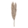 Eglo - Flor seca 55 cm beige