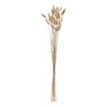 Eglo - Flor seca 60 cm beige