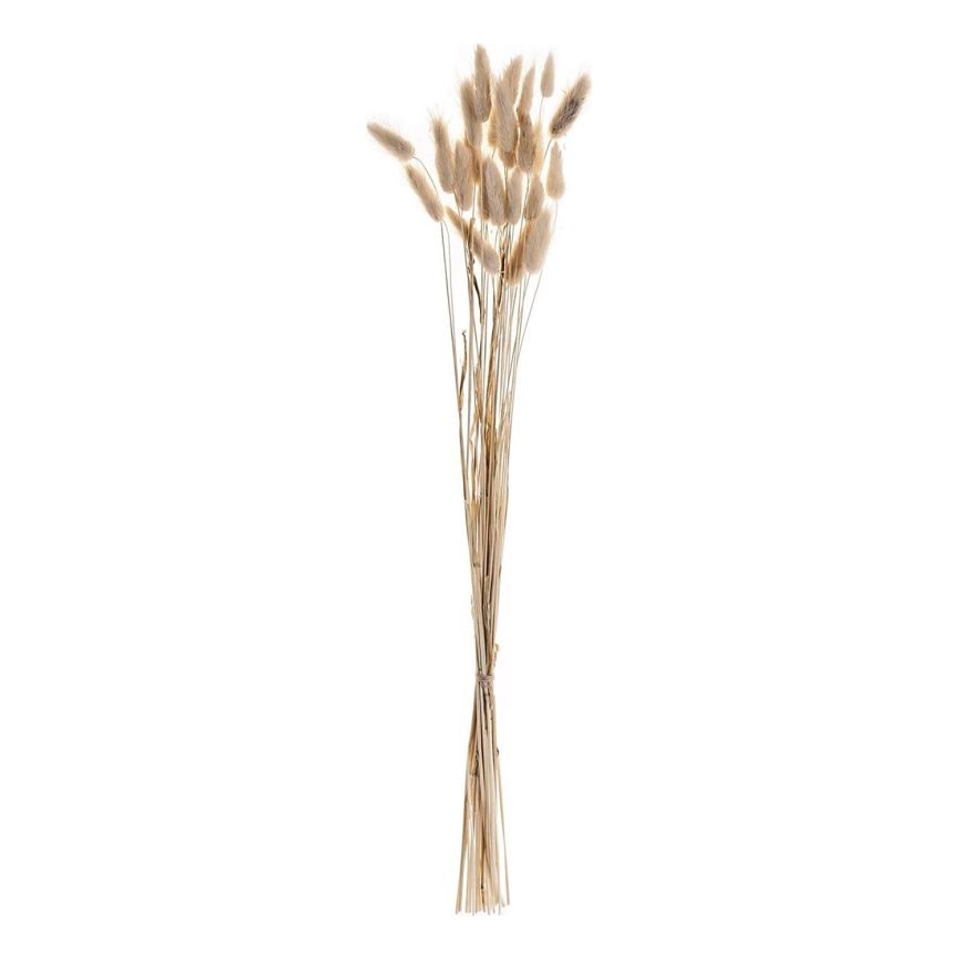 Eglo - Flor seca 60 cm beige