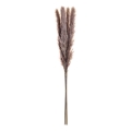 Eglo - Flor seca 60 cm morada