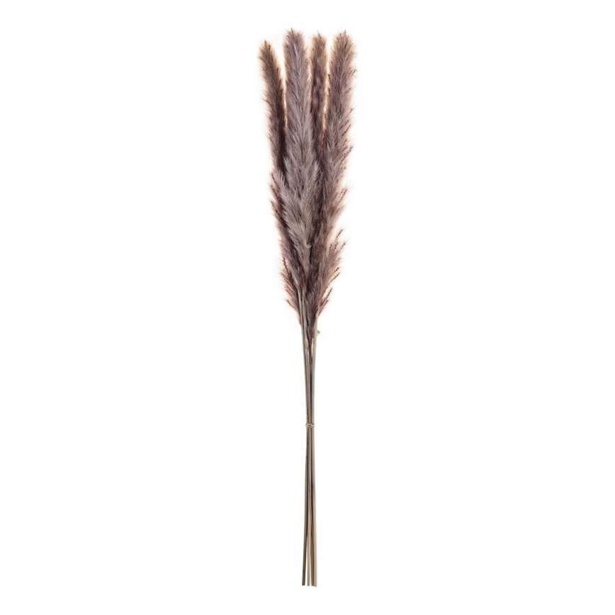Eglo - Flor seca 60 cm morada
