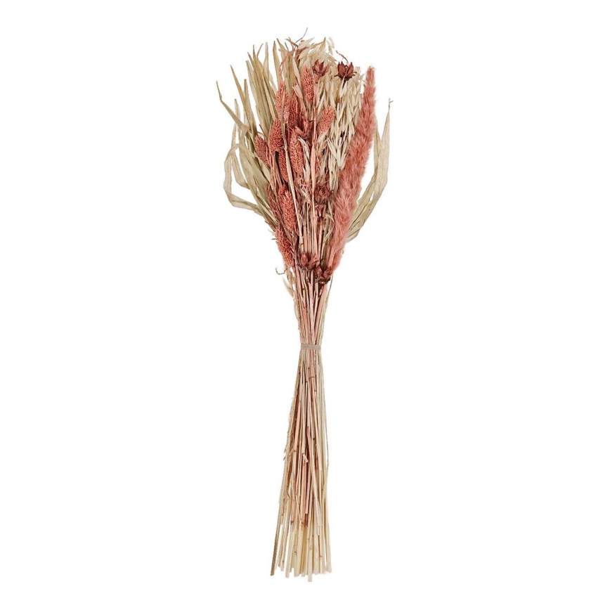 Eglo - Flor seca 60 cm naranja