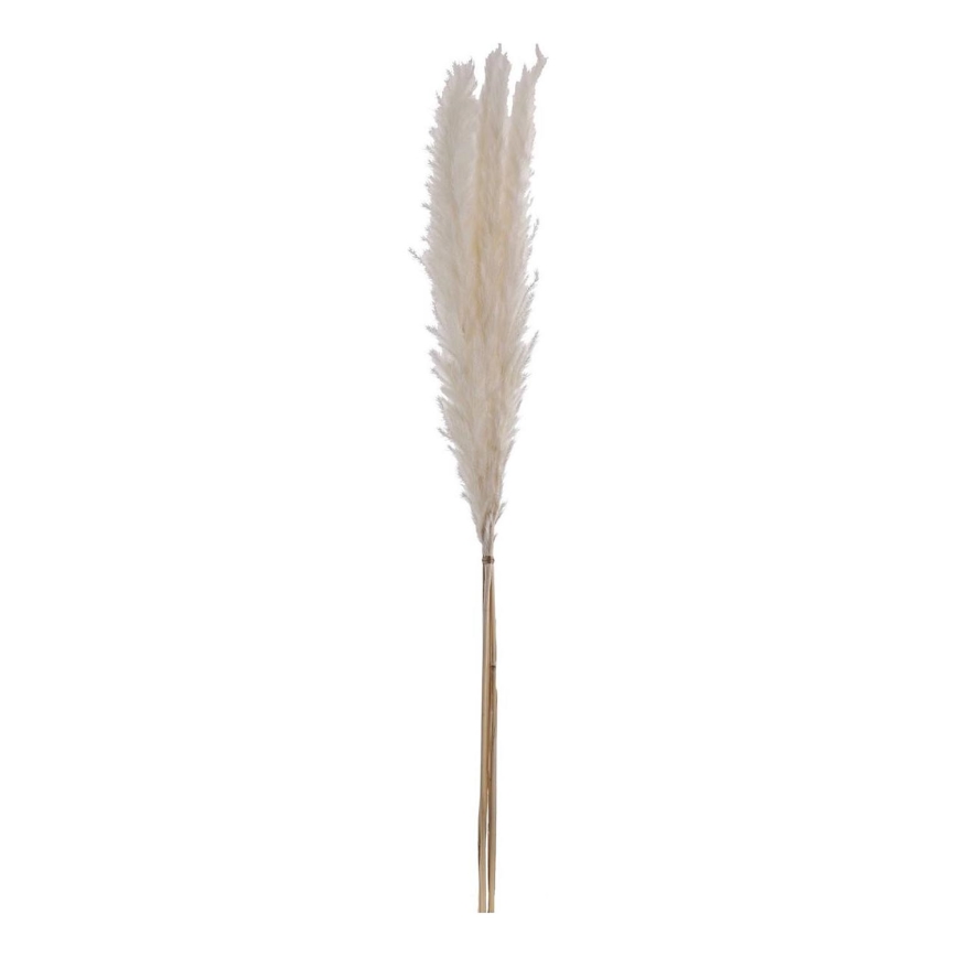 Eglo - Flor seca 70 cm blanco