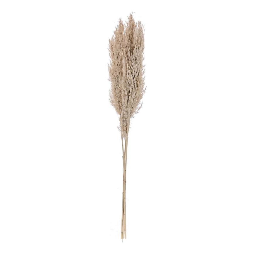 Eglo - Flor seca 85 cm beige