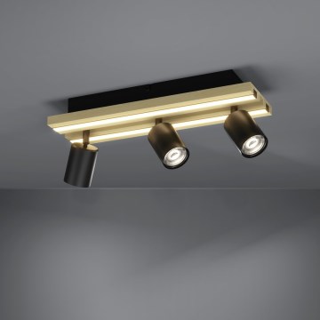 Eglo - Foco LED orientable 3xLED/2,2W/230V + 2xLED/1,2W + 2xLED/2W beige/negro