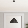 Eglo - Lámpara colgante 1xE27/40W/230V negro