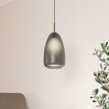 Eglo - Lámpara colgante con cable 1xE27/40W/230V