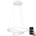 Eglo - Lámpara colgante LED regulable con cable LED/43,2W/230V blanca