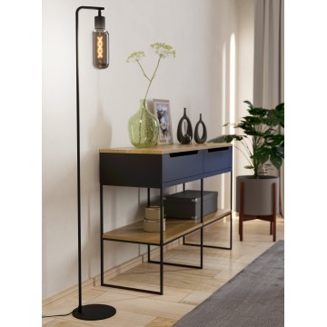 Eglo - Lámpara de pie 1xE27/4W/230V negra/ahumada