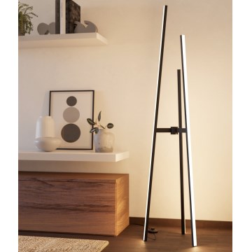 Eglo - Lámpara de pie LED, 30 W, 230 V, negra