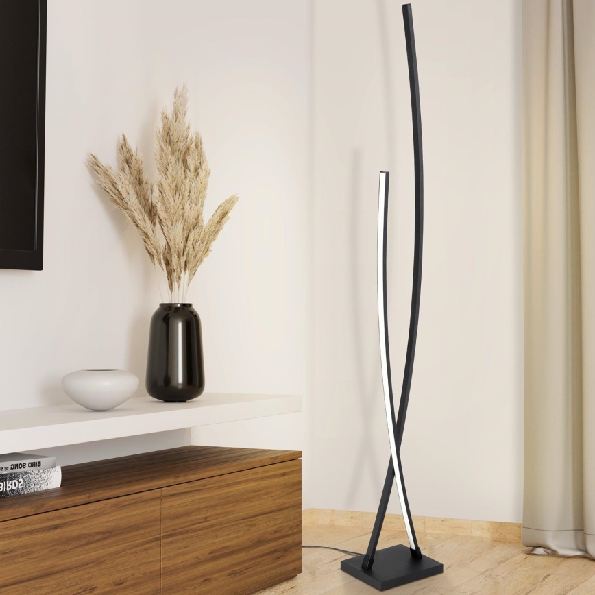 Eglo - Lámpara de pie LED LED/23W/230V