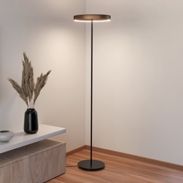 Eglo - Lámpara de pie LED regulable con sensor de movimiento 2xLED/19W/230V 2200-6500K marrón