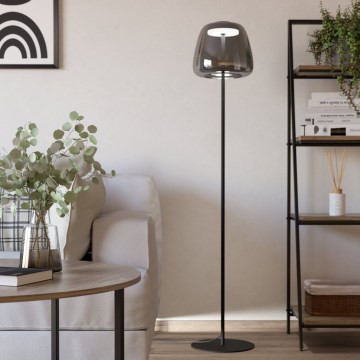 Eglo - Lámpara de pie LED RGBW regulable LED/15,5W/230V 2700-6500K ahumada