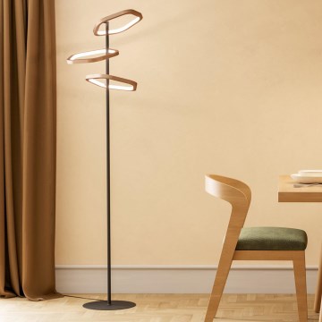 Eglo - Lámpara de pie regulable LED/20W/230V 2200-6500K latón