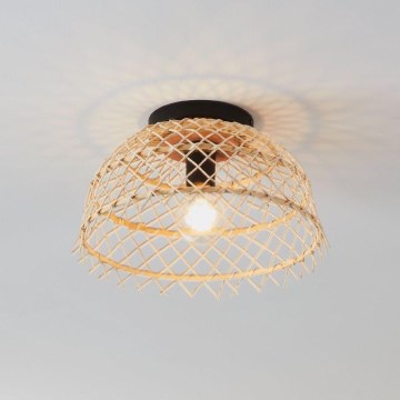 Eglo - Lámpara de techo 1xE27/40W/230V