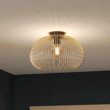 Eglo - Lámpara de techo 1xE27/40W/230V