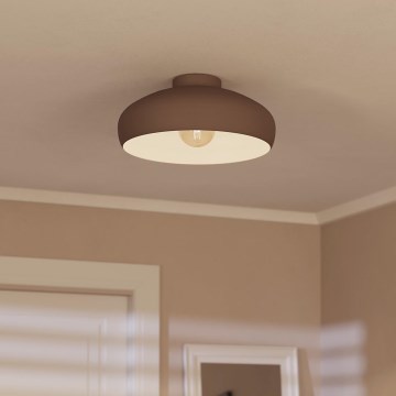 Eglo - Lámpara de techo 1xE27/60W/230V