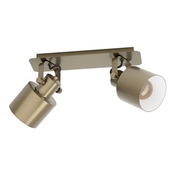 Eglo - Lámpara de techo con 2 focos E27/40W/230V