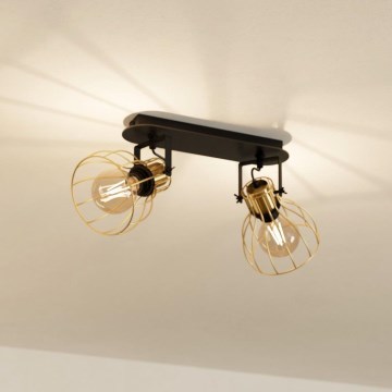 Eglo - Lámpara de techo con 2 focos E27/40W/230V
