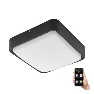 Eglo - Lámpara de techo exterior LED regulable LED/14,6W/230V