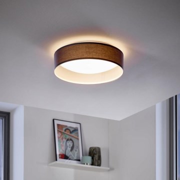 Eglo - Lámpara de techo LED 1xLED/12W/230V