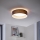 Eglo - Lámpara de techo LED 1xLED/12W/230V
