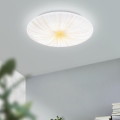 Eglo - Lámpara de techo LED LED/10W/230V