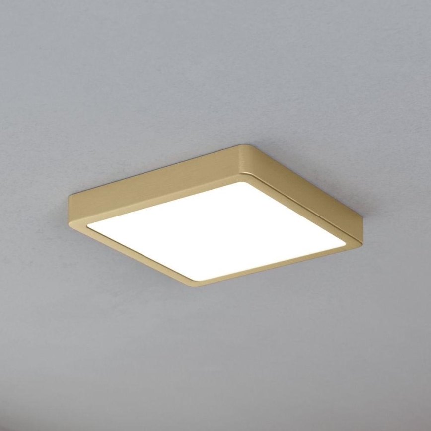 Eglo - Lámpara de techo LED LED/17W/230V
