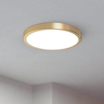 Eglo - Lámpara de techo LED LED/20,5W/230V Ø 28,5 cm