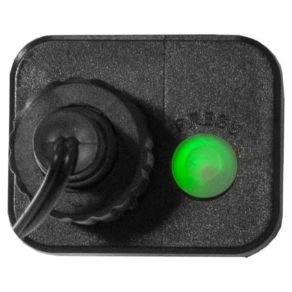 Eglo - Guirnalda LED para exterior 300 LEDs/8 funciones 11 m IP44 multicolor