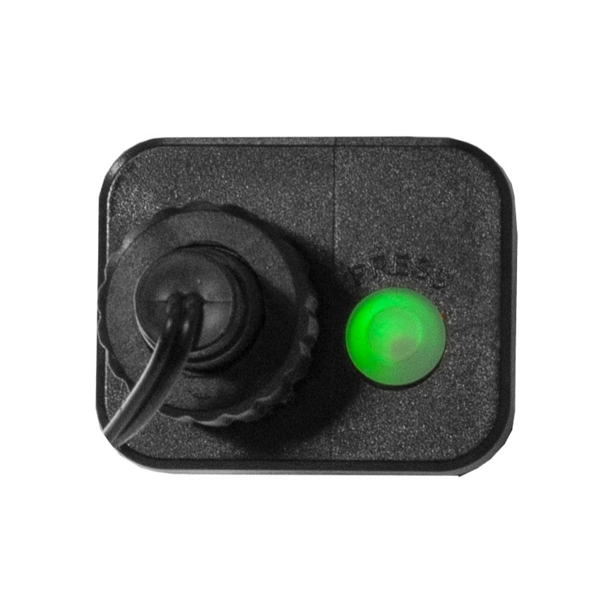 Eglo - Guirnalda LED para exterior 300 LEDs/8 funciones 11 m IP44 multicolor